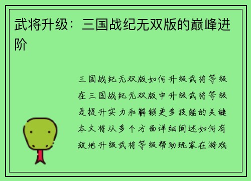 武将升级：三国战纪无双版的巅峰进阶